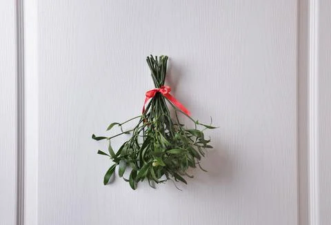 Mistletoe bunch with red bow hanging on white wooden door. Traditional Christ Stock Photos