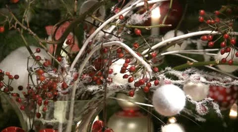 Mistletoe-christmas-decoration Stock Footage 10758150
