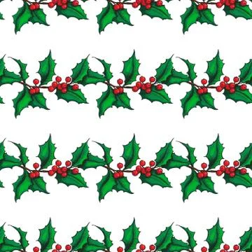 Mistletoe Christmas vector seamless pattern. Hand drawn botanical holly Stock Illustration