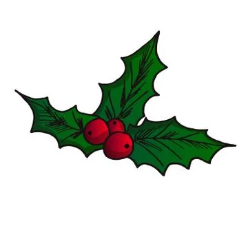 Mistletoe colored element. Christmas decor. Hand drawn vector illustration. Stock Illustration