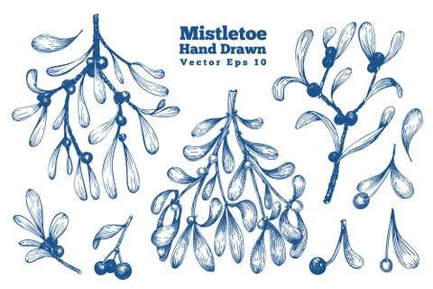 Mistletoe hand drawn branches vector illustrations set. Retro style botanical Stock Illustration