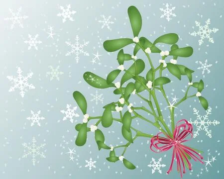 Mistletoe Stock Illustration