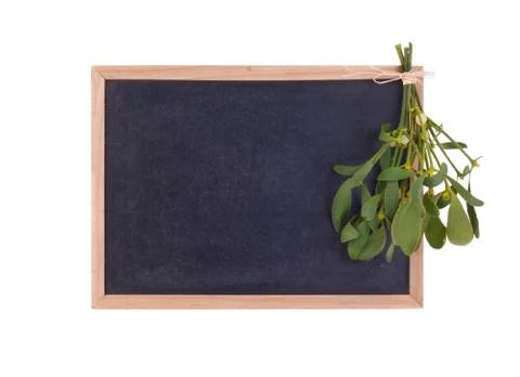 Mistletoe Stock Photos