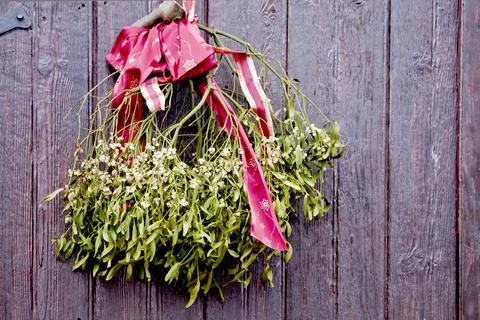 Mistletoe Stock Photos