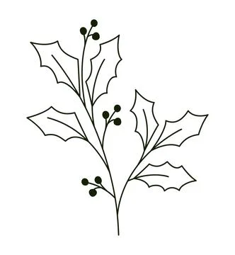 Mistletoe plant design Stock Illustration