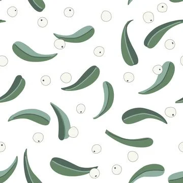 Mistletoe seamless pattern, Winter holidays background, vector illustration. Stock Illustration