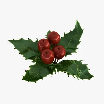 Mistletoe Sprig Holly 3D Model