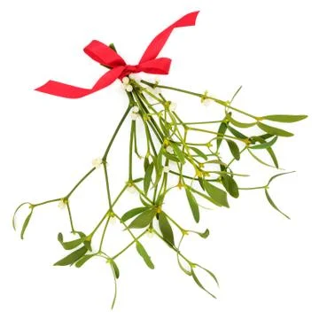 Mistletoe Sprigs with Red Bow Stock Photos