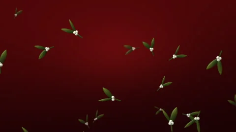 Mistletoe sprigs with white berries falling on deep red, Christmas 4K loop Видео 347922662