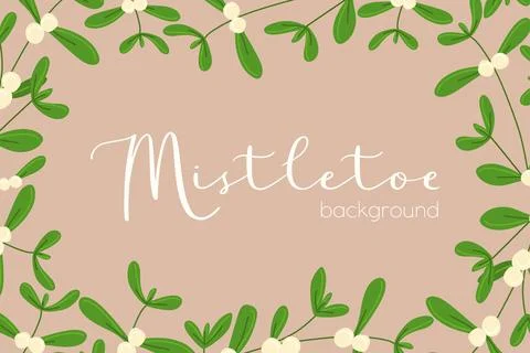 Mistletoe vector Frame. Floral Border. Flat cartoon Christmas decoration. Bot Stock Illustration