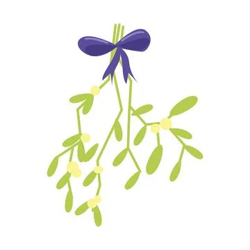 Mistletoe. Vector illustration of hanging mistletoe sprigs with with berries and Stock Illustration