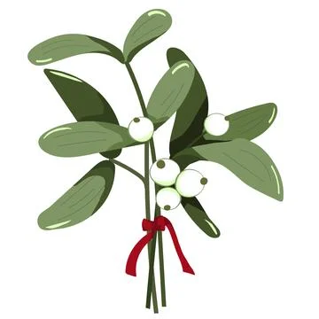 Mistletoe vector illustration Stock Illustration