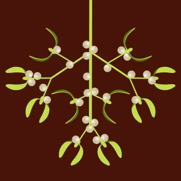 Mistletoe. Vector illustration. Mistletoe branch with berries. New Year Chris Stock Illustration