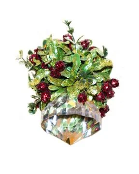 Mistletoe on White Background Stock Photos