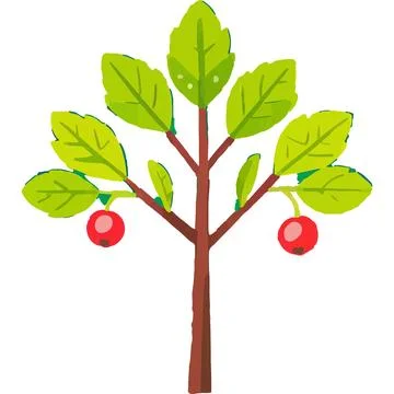 Mistletoe winter magic Decoration Winter ornament Stock-Illustration
