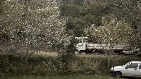 Mistral. Stock Footage 888249