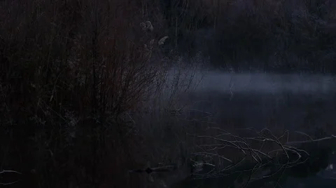 Mists dancing on water Stock Footage 45657242