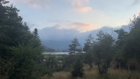 Misty Abant Lake View Through Forest at Evening Stock Footage 345520038