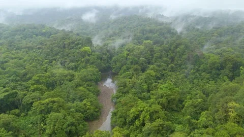 Misty aerial rainforest river in San Cipriano Stock Footage 331410102