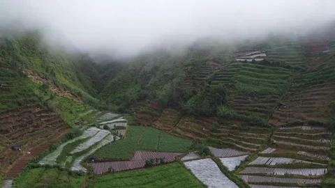 Misty Aerial View of Terraced Fields in Mountains Video stock 280096248