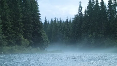 Misty alpine river Stock Footage 94958023