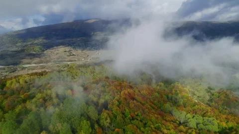 Misty Autumn Forest Aerial Stock Footage 255800550