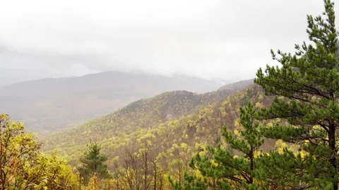 Misty Autumn Mountains Stock Footage 277611280