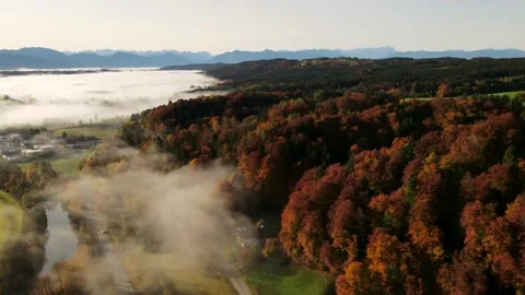 Misty Autumn TimeLaps Stock Footage 164775755