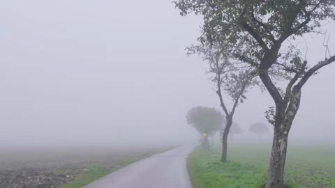 Misty bicycle path  in nature Stock Footage 141930537