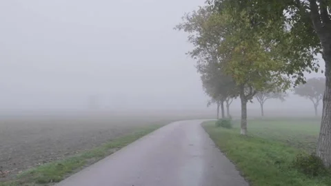 Misty bicycle path  in nature Stock Footage 141930596