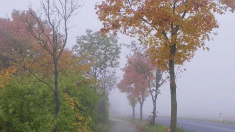 Misty bicycle path  in nature Stock Footage 141930724