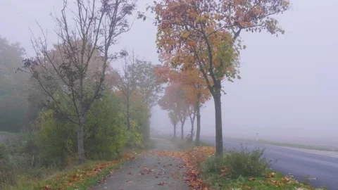 Misty bicycle path  in nature Stock Footage 141930818