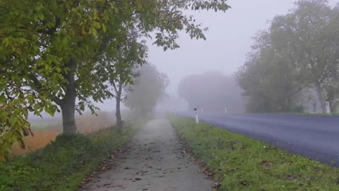 Misty bicycle path  in nature Stock Footage 141930820