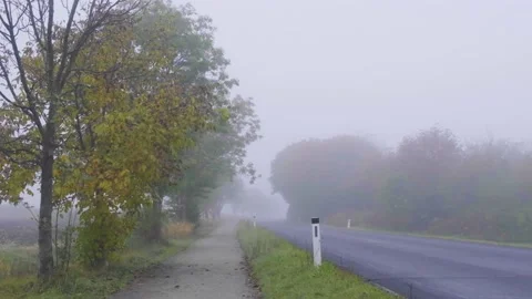 Misty bicycle path  in nature Stock Footage 141930840