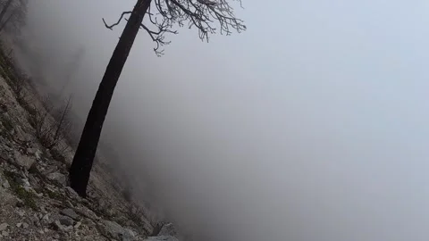 Misty burn scar trail at bear canyon mount baldy california Stock Footage 338210803