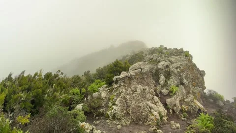 Misty Cliffs and Atlantic Winds at Teno National Park in Tenerife Stock Footage 330898901