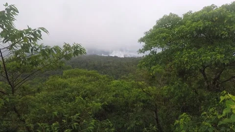 Misty clouds above tropical rainforest at Mahawu Volcano, Sulawesi, Indonesia Vídeos de archivo 172285845