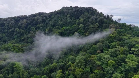 Misty clouds drift over lush green hills 库存影片 337995173