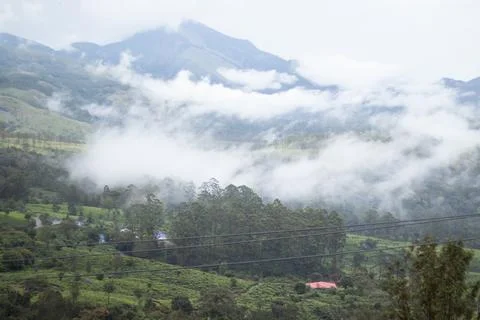 Misty clouds in the green mountains Stock Photos