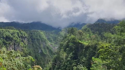 Misty clouds hover over lush green mountains Stock-Fotos