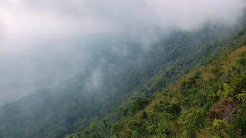 Misty clouds moving across a lush green mountain slope covered in a tropical Video stock 325976937