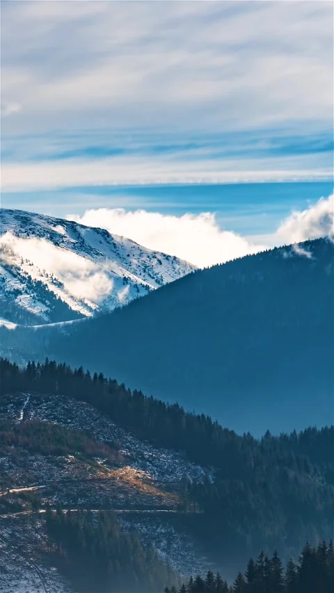 Misty Clouds Moving Fast over Winter Forest Mountains, Vertical Time Lapse Stock Footage 313600205