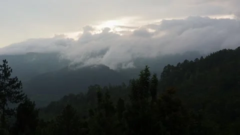 Misty clouds moving over mountain forest landscape Stock-Footage 337767411