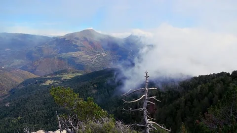Misty clouds over the mountains (Peak of Taga, Spain, Pyrenees Mountains) Stock Footage 203159776