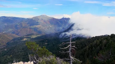 Misty clouds over the mountains (Peak of Taga, Spain, Pyrenees Mountains) Stock Footage 203159915