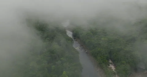 Misty Clouds Revealed Tropical Forest Through The Churun River In Canaima Stock Footage 333149762