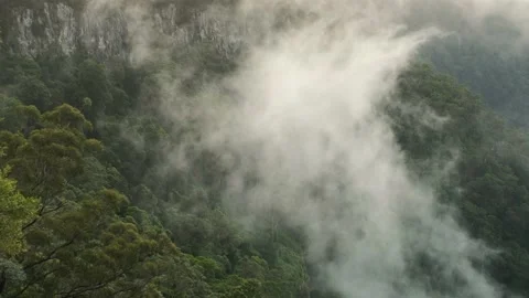 Misty Clouds Springbrook National Park, Qld, Australia Stock Footage 157619921