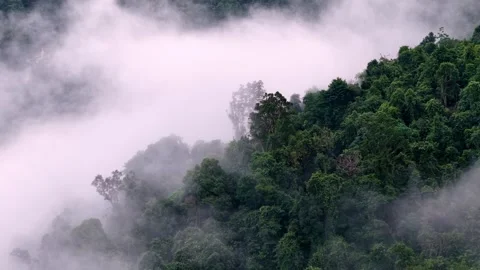 Misty Cloudy Day Over Bukit Mertajam Forest Hillside Video stock 329357654