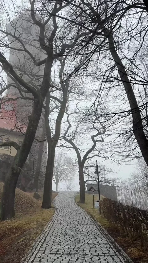 Misty Cobblestone Path to Auerbach Schloss Stock Footage 328928135