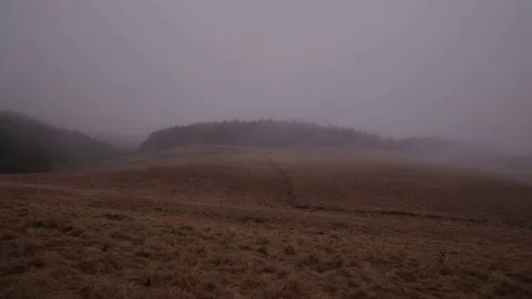 Misty countryside fields 1 Stock Footage 71390157